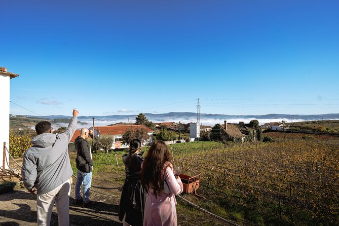DOURO VALLEY: Lunch in a winery, tastings & 1-h private boat tour - Peso da Régua and Road 222: the drive is part of the show