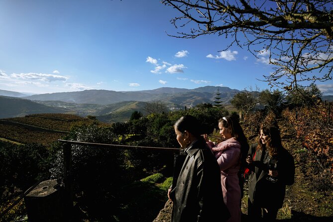 DOURO VALLEY: Lunch in a winery, tastings & 1-h private boat tour - Price and value from Porto: what you’re paying for