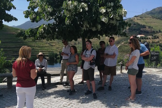 DOURO VALLEY: Lunch in a winery, tastings & 1-h private boat tour - Who should book this Douro tour (and who might not)