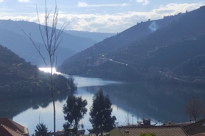 Douro valley Majestic - Wine Tasting and Guided Visits: What You Should Expect to Get