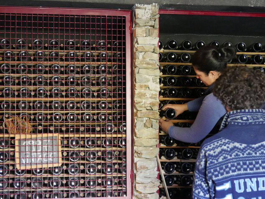 Douro Valley: Premium Port Tasting Winery Tour & River Views - Key things you’ll notice fast