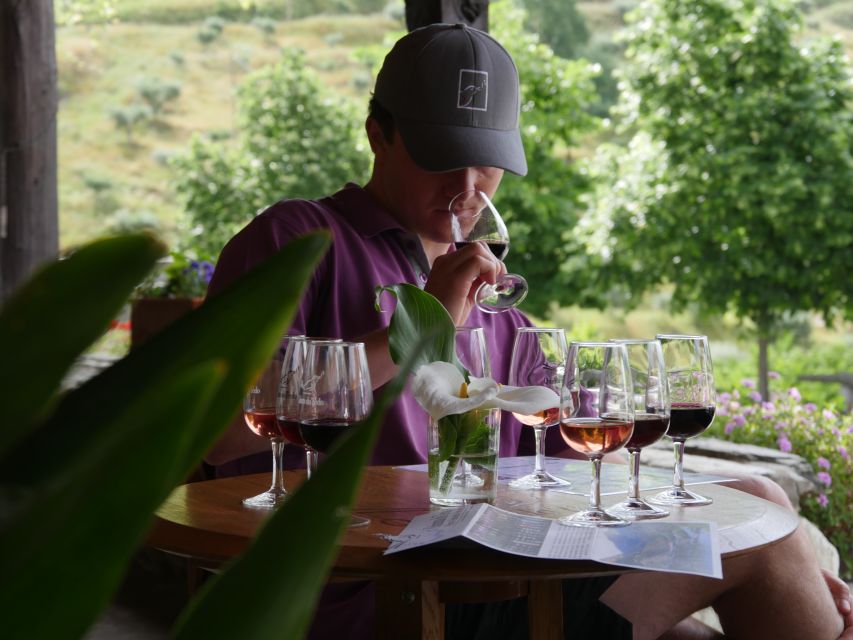 Douro Valley: Premium Port Tasting Winery Tour & River Views - Where the Douro River Sets the Mood for Wine