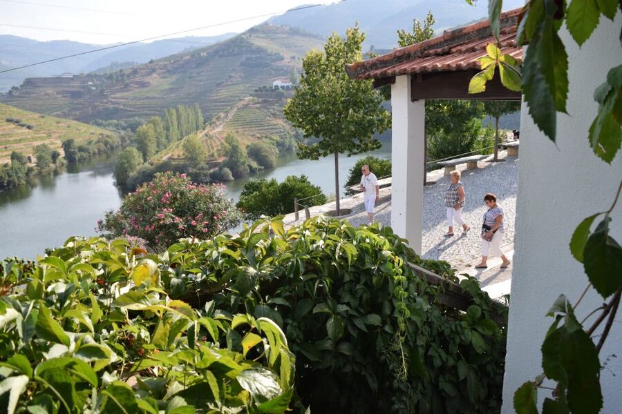 Douro Valley: Premium Port Tasting Winery Tour & River Views - Inside the 18th-Century Cellars: Aging, Bottling, and Hand-Labeling