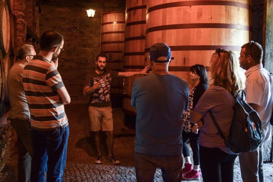 Douro Valley: Premium Port Tasting Winery Tour & River Views - Stone Lagares and the Foot-Treading Tradition