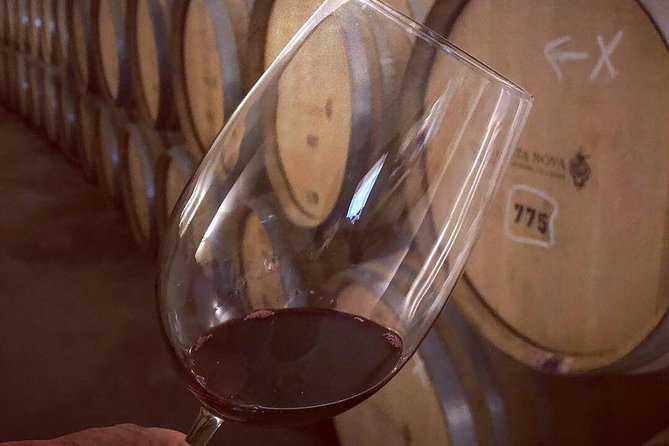 Douro Valley Premium Private - Two winery and farm visits: tasting with context