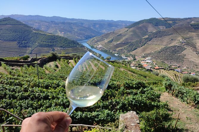 Douro Valley Premium Tours - Private Driver & Guide - Boutique winery tasting: olives, honey, almonds, wine