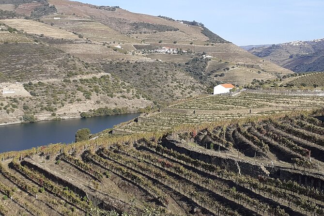 Douro Valley Premium with wine tasting lunch and boat - Peso da Régua and the Régua pedestrian bridge: a small start that helps
