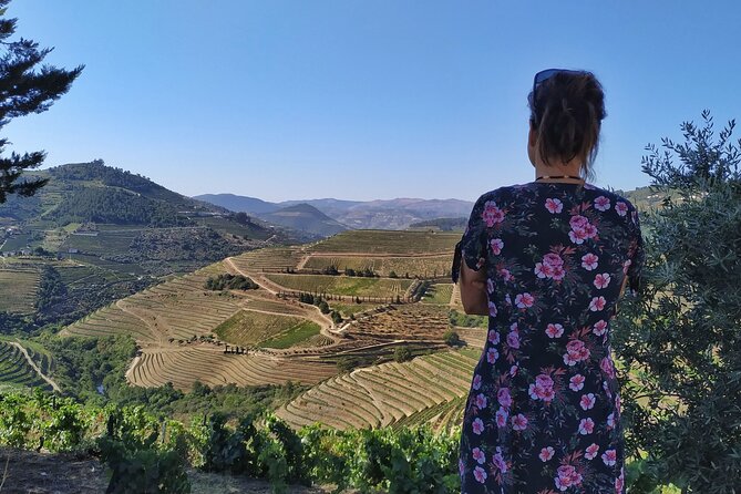 Douro Valley Prime Tour: Wine Tastings, Boat & Lunch from Porto - Lunch at a Vineyard Setting: 3 Courses, Portuguese Comfort, and More Wine