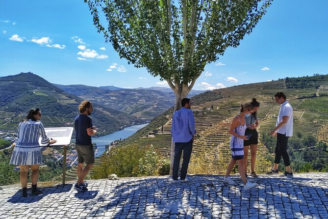 Douro Valley Prime Tour: Wine Tastings, Boat & Lunch from Porto - The River Cruise: A Calm Break From the Road