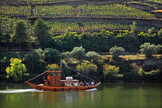 Douro Valley private day tour from Porto - Wine Tasting Stops: What You’re Getting Besides Drinks