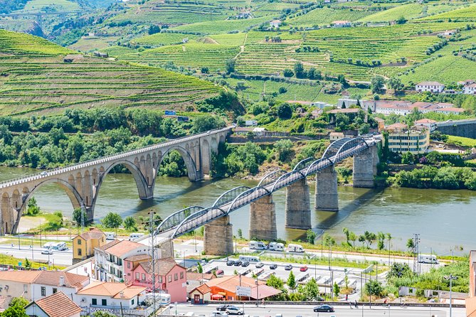 Douro Valley private day tour from Porto - Lunch and the Food Factor: Built Into the Day for a Reason