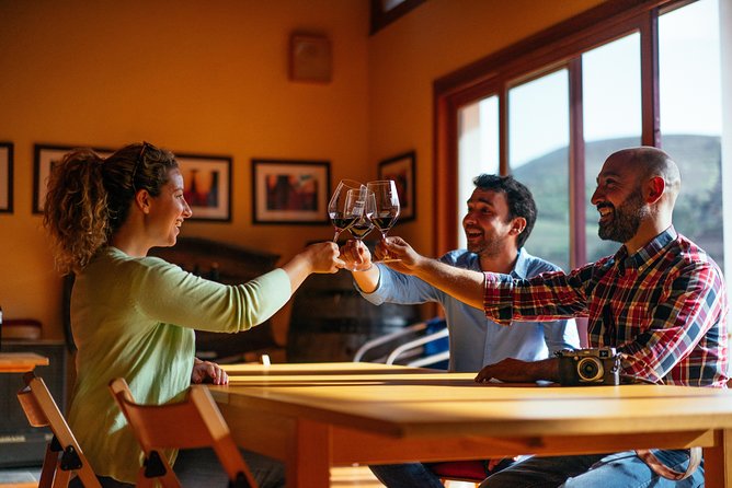 Douro Valley Private Day Trip including Boat Ride & Wine Tasting - Quinta do Infantado: the Port-and-dry-wine tasting that anchors the day