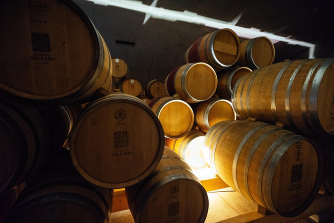 Douro Valley Private Day Trip including Boat Ride & Wine Tasting - Who should book this Douro Valley private tour