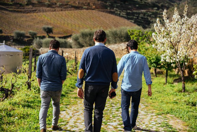 Douro Valley Private Day Trip including Boat Ride & Wine Tasting - Pinhão pass-by: the easiest win for Douro views