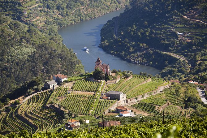 Douro Valley Private Full–Day Tour from Porto - Why this private Douro day feels easier than DIY