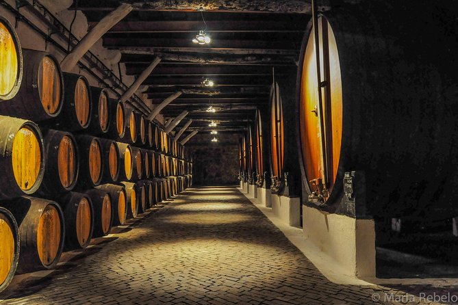 Douro Valley Private Full–Day Tour from Porto - A realistic 10-hour rhythm from 8:30 am onward