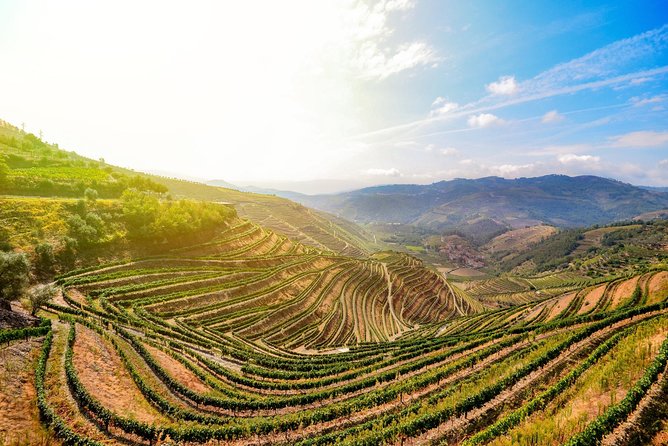 Douro Valley Private Full–Day Tour from Porto - Stop-by-stop: what happens and why each part matters