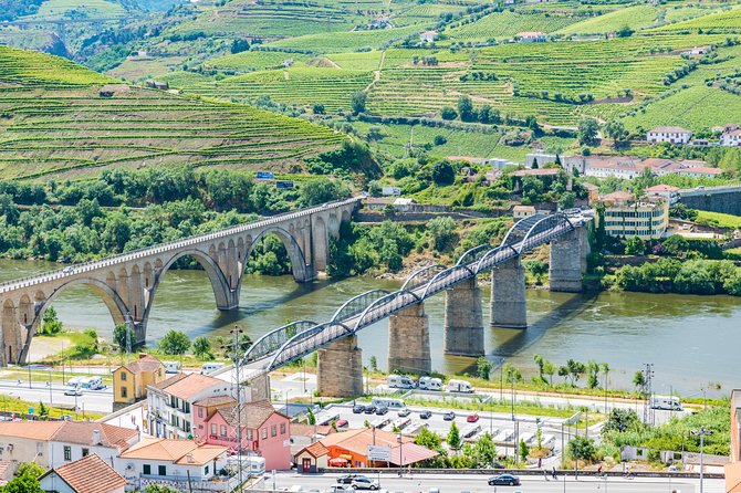 Douro Valley Private Full–Day Tour from Porto - Who this tour fits best