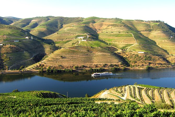 Douro Valley Private Full–Day Tour from Porto - Price and value: $720.14 per group up to 2