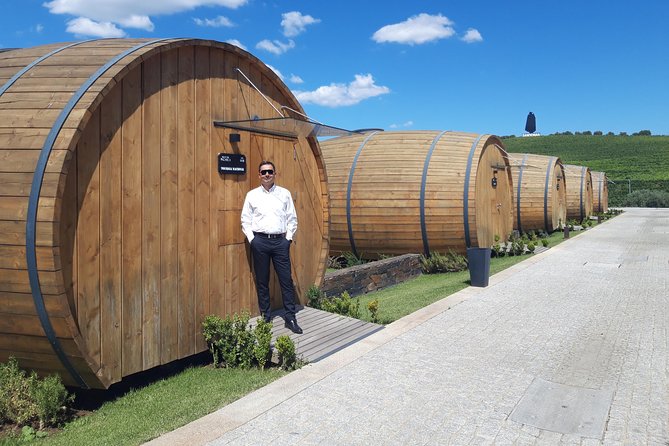 Douro Valley Private Premium Tour with Wine Tasting (1 to 4 people) - The road that steals the show: National Road 222