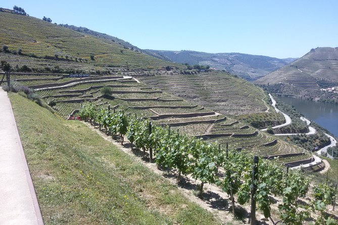 Douro Valley Private Premium Tour with Wine Tasting (1 to 4 people) - Food and tastings: what’s included, what’s optional, and what to ask