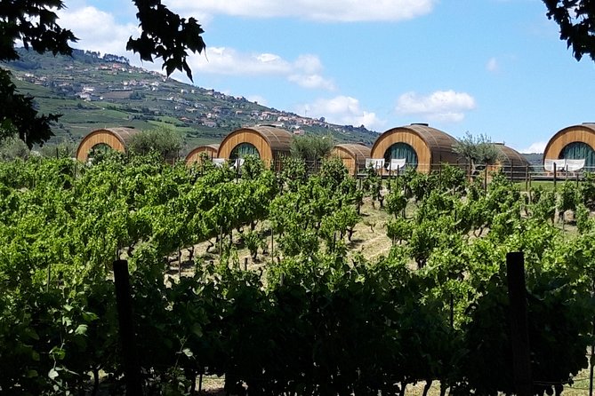 Douro Valley Private Premium Tour with Wine Tasting (1 to 4 people) - Price and value: $636.78 per group is about convenience