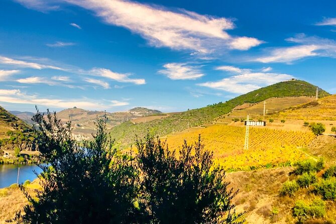 Douro Valley Private Tour: 2 Farms, Lunch & Boat Trip - Key Highlights You’ll Actually Feel During the Day