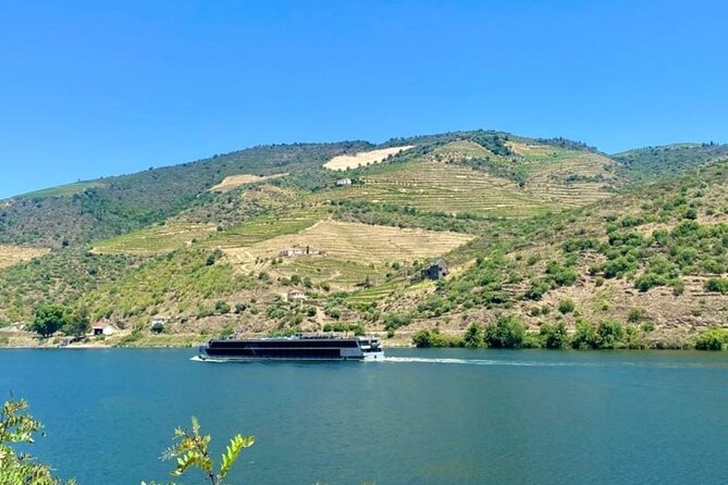 Douro Valley Private Tour: 2 Farms, Lunch & Boat Trip - The Drive Into Douro: More Than Just Getting There