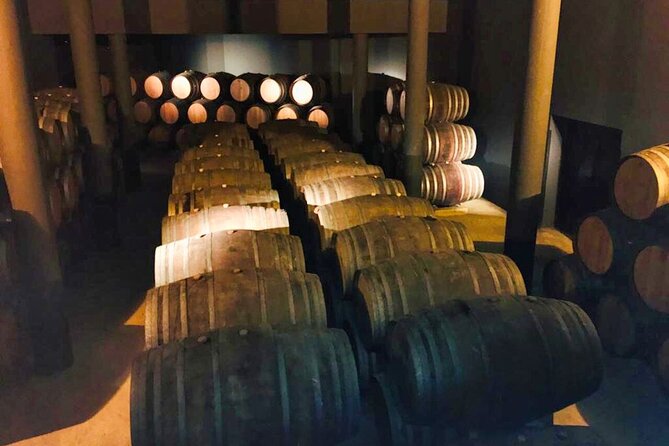 Douro Valley Private Tour: 2 Farms, Lunch & Boat Trip - Vale do Douro Farm Visit: Wine, Olive Oil, and Honey in One Guided Hour