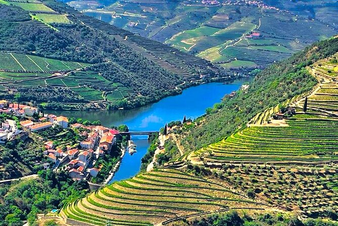 Douro Valley Private Tour: 2 Farms, Lunch & Boat Trip - Your Best Douro View Is Actually on the Water