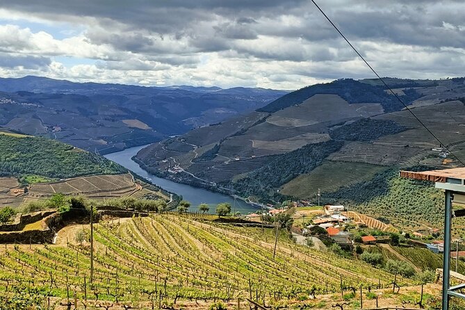 Douro Valley Private Tour - Casal de Loivos family winery: tasting more than just wine