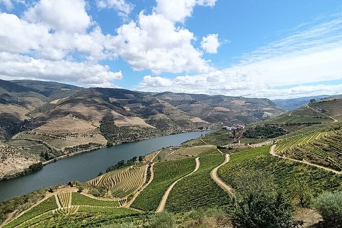 Douro Valley Private Tour - Head back to Porto: the value of not negotiating transport