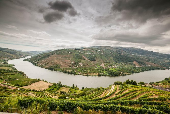 Douro Valley Private Tour from Oporto - From Porto to the Douro Valley: the day plan that makes sense