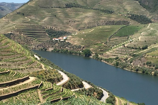 Douro Valley Private Tour from Oporto - Casal de Loivos viewpoint: your first real read on the Douro