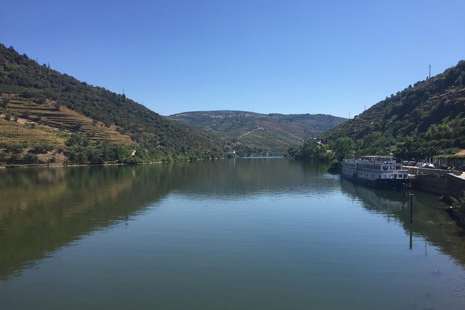 Douro Valley Private Tour from Oporto - Quinta do Tedo: the wine tasting that turns scenery into understanding