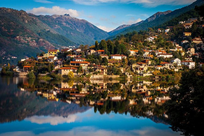 Douro Valley Private Tour from Oporto - Who should book this private Douro day