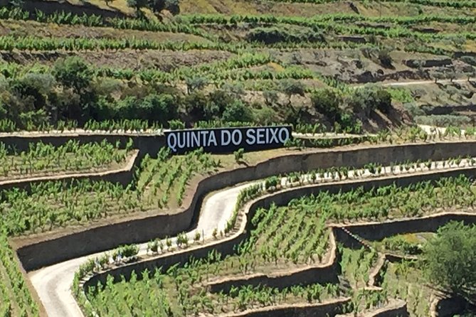 Douro Valley Private Tour from Oporto - Pickup, onboard Wi‑Fi, and what comfort really buys you