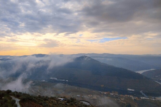 Douro Valley private tour full day - Quinta de Santa Eufemia cellar tasting: wine time with context