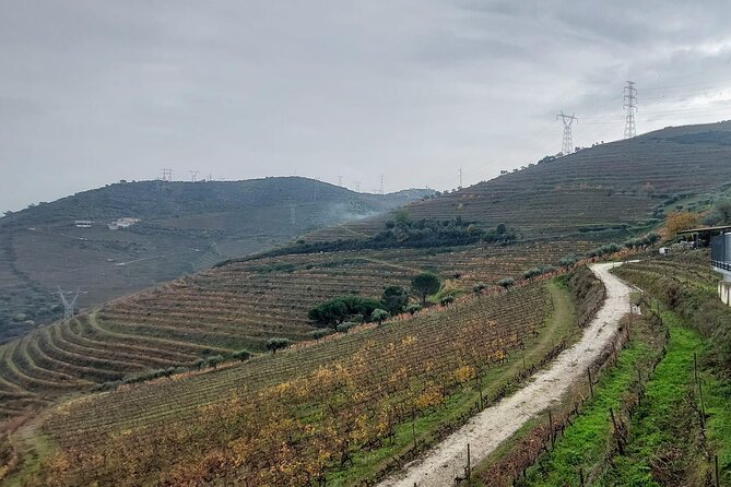 Douro Valley private tour full day - Companhia Turística do Douro: the 1-hour boat ride
