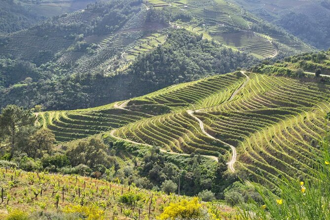 Douro Valley private tour full day - Casal de Loivos viewpoint: seeing the valley after the cruise