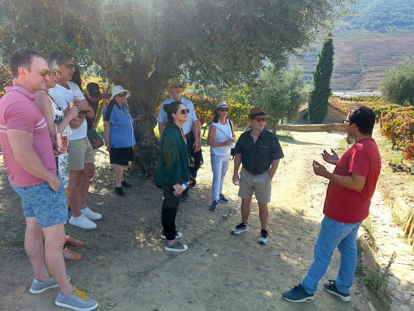 Douro Valley private tour & wine experience including lunch - Key Things You’ll Love About This Douro Private Day