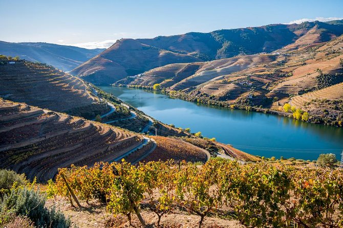 Douro Valley: private tour with lunch and wine estate all inclusive - Amarante Stop: River Town Views and Sweet Portuguese Classics