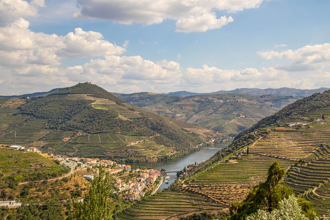 Douro Valley: private tour with lunch and wine estate all inclusive - Lunch in the Douro: Traditional Food, Drinks Included, Vegetarian Options