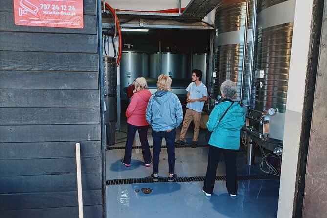 Douro Valley Private Tour with Sommelier - Boutique winery visits with barrel tastings and winemaker meetings