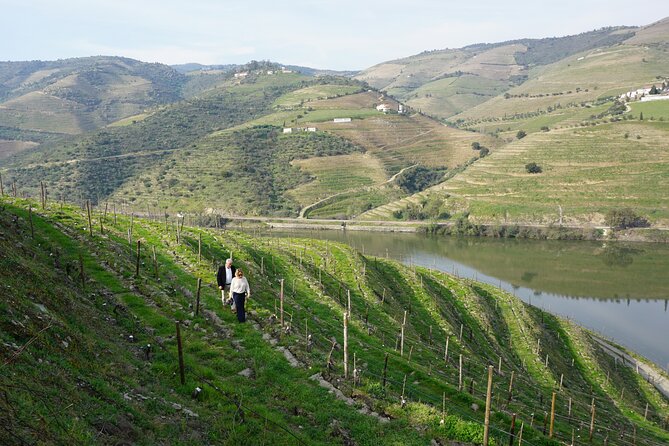 Douro Valley private tour with wine tasting and boat tour - The 1-hour boat ride on the Rio Douro from Pinhão