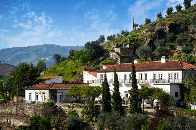 Douro Valley private tour with wine tasting and boat tour - Price and logistics: value for $449.51 per group up to 3