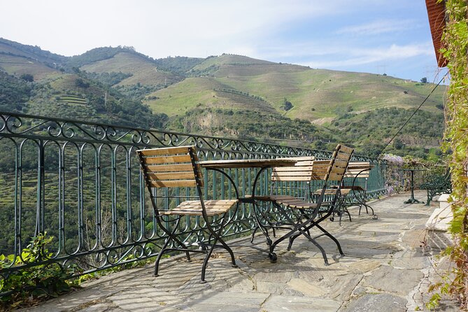 Douro Valley private tour with wine tasting and boat tour - Should you book this private Douro Valley tour with wine tasting and boat ride?