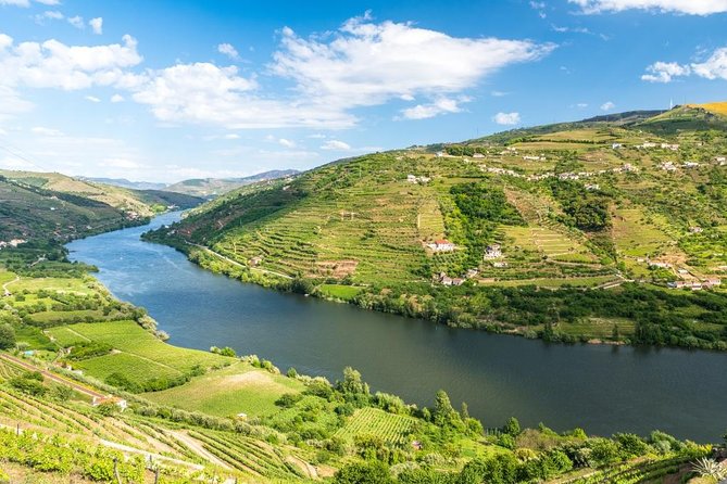 Douro Valley private tour with wine tasting and boat tour - Wine tasting in the Douro near Pinhão: how to get the most