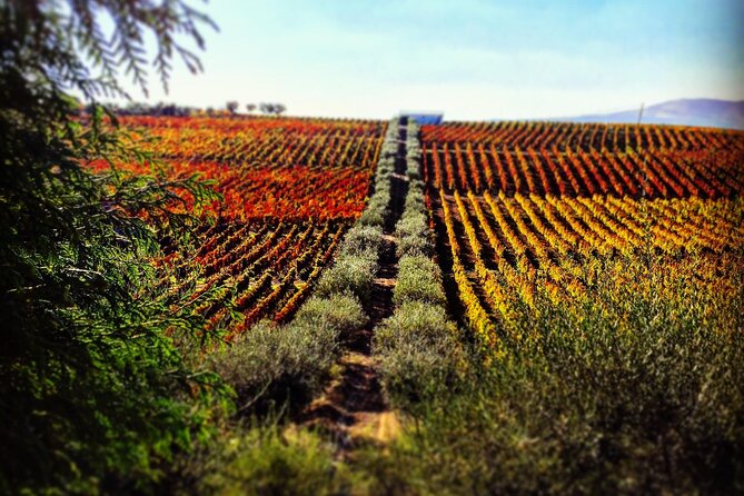 Douro Valley — Private UNESCO Wine & Cultural Experience - Key highlights at a glance