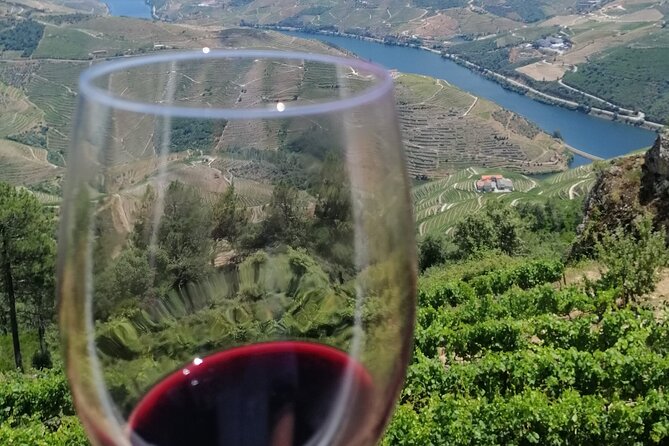 Douro Valley — Private UNESCO Wine & Cultural Experience - From Braga to the Douro: timing that actually matters